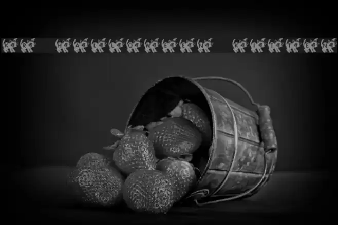 KR Halloween Kitten Font examples