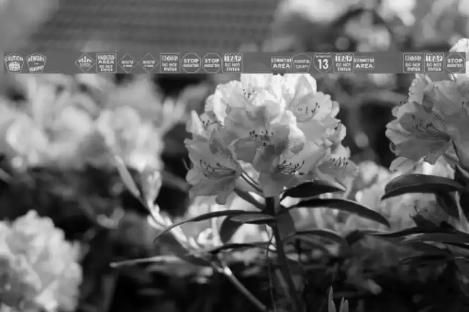 KR Halloween Signs One Font examples