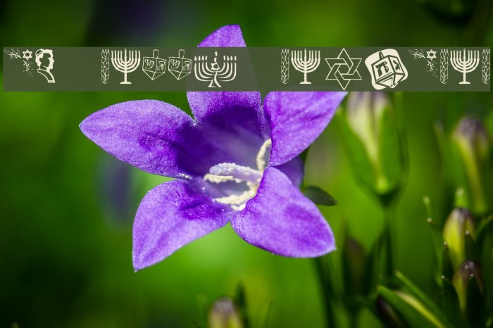 KR Happy Hanukhah Example 3