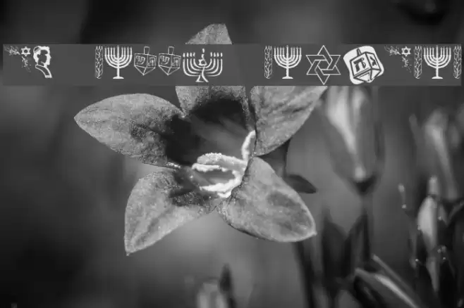 KR Happy Hanukhah Font examples