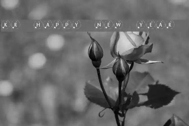 KR Happy New Year 2002 Font examples