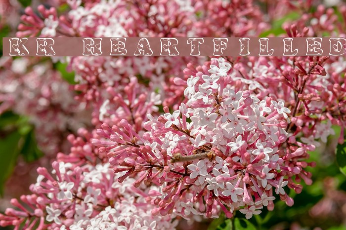 KR Heartfilled Font examples