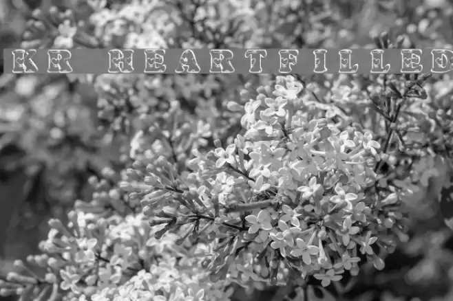KR Heartfilled Font examples