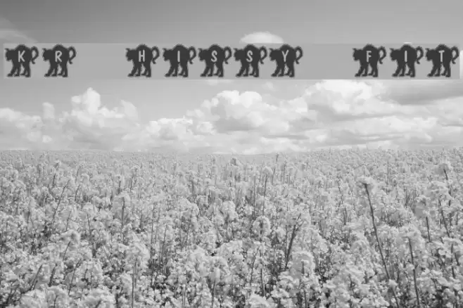 KR Hissy Fit Font examples