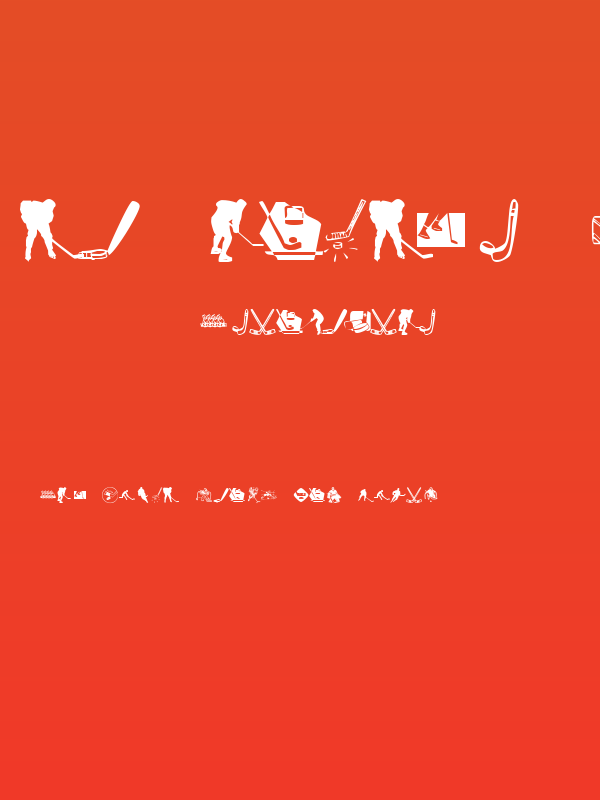 KR Hockey Dings Poster