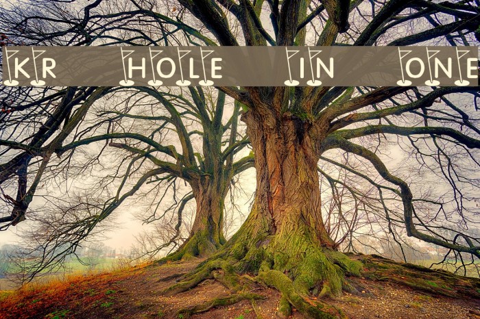 KR Hole In One! Example 2