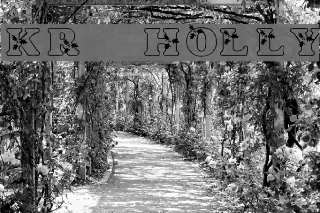 KR Holly Font examples