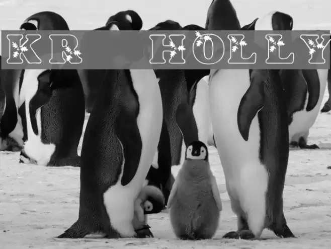 KR Holly Font examples