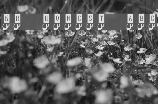 KR Honest Abe Font examples