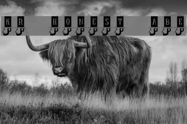 KR Honest Abe Font examples