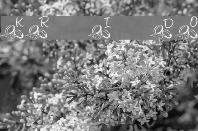 KR I Do! Font examples