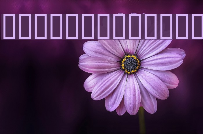KR I'm This Many! Font examples
