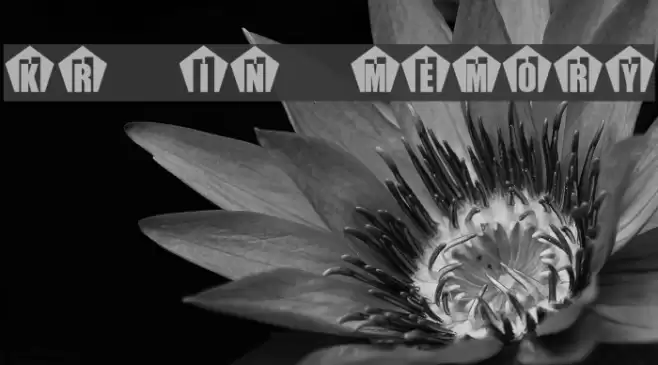 KR In Memory examples