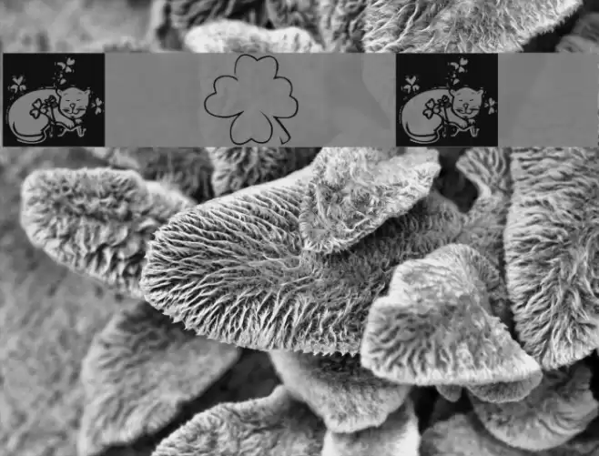 KR Irish Kat 3 Font examples