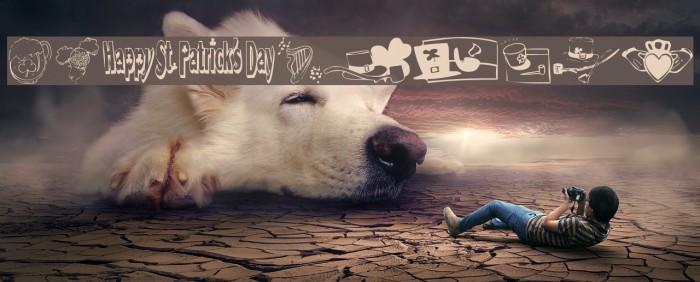 KR Irish Kat 5 Example 2