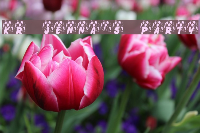 KR Jenna's Party Font examples