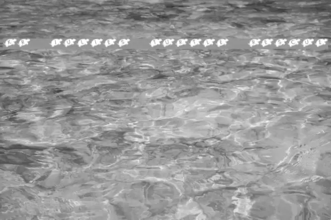 KR Julies Turtle Rescue Font examples