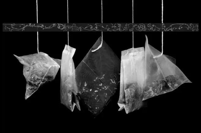 KR Jungle Scraps Font examples