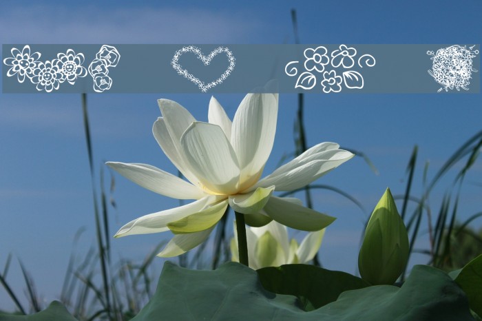 KR Just The Flowers Font examples