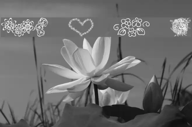 KR Just The Flowers Font examples
