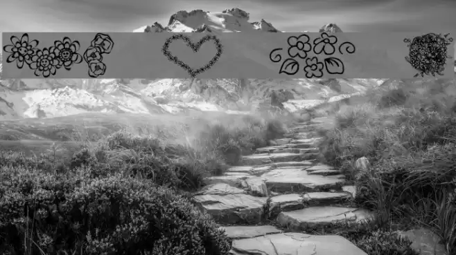 KR Just The Flowers Font examples
