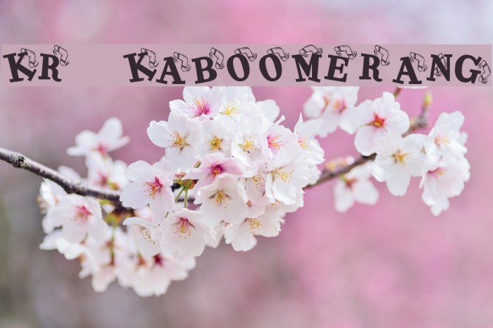 KR Kaboomerang Font examples