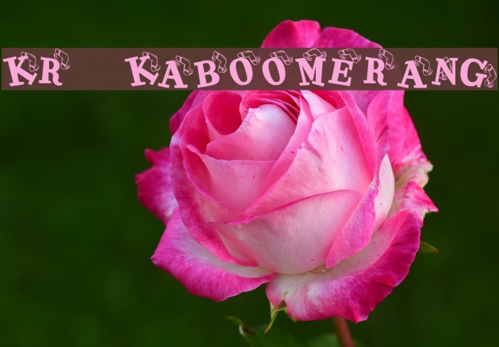 KR Kaboomerang Font examples