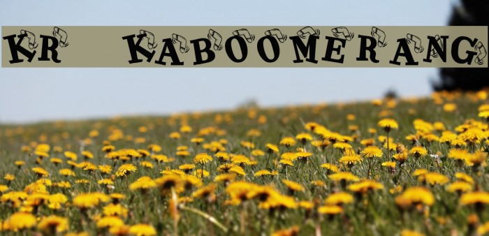 KR Kaboomerang Font examples