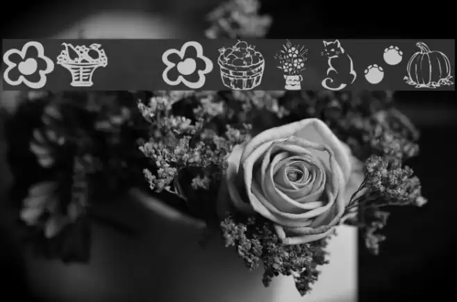 KR Katlings Font examples