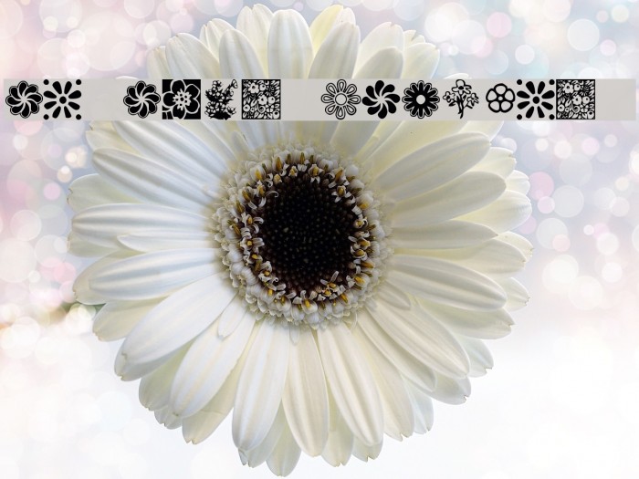 KR Kat's Flowers 2 Font examples