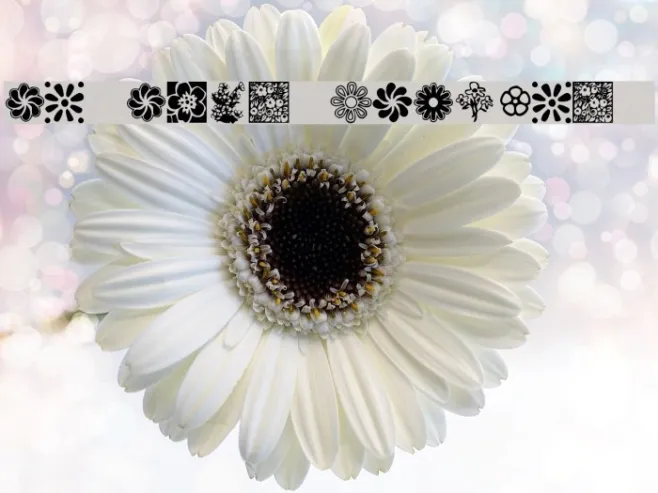 KR Kat's Flowers 2 Example 1