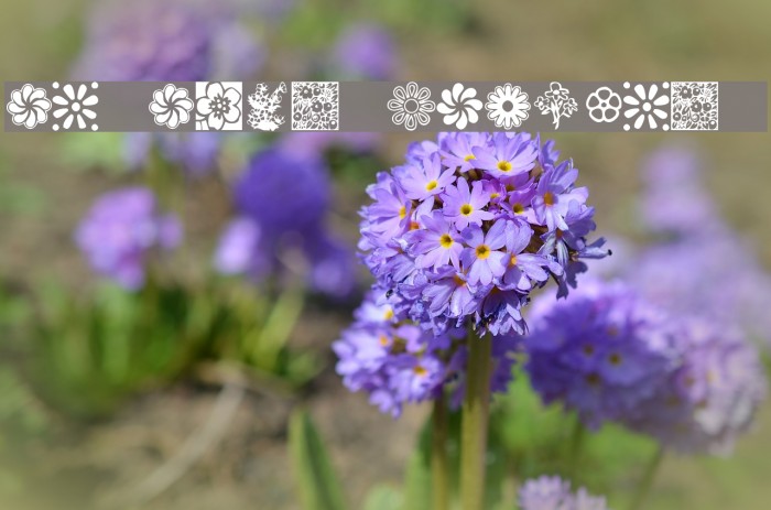 KR Kat's Flowers 2 Font examples