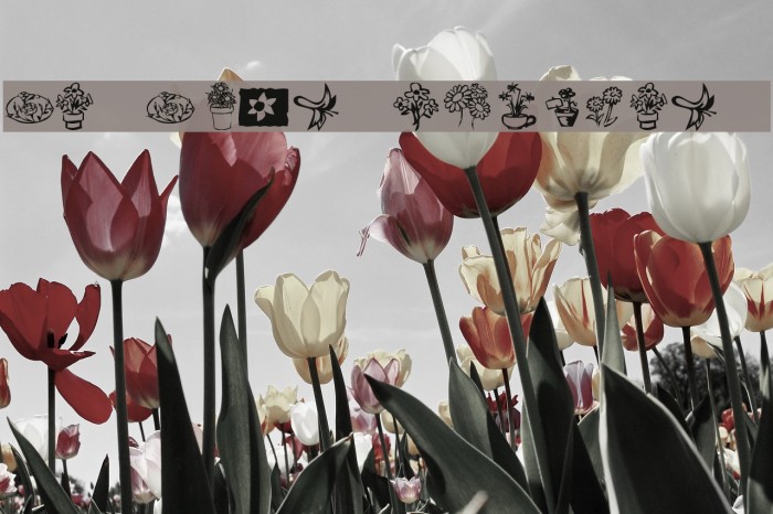 KR Kat's Flowers 3 Example 3