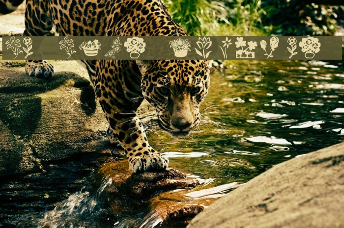 KR Kat's Flowers 4 Font examples