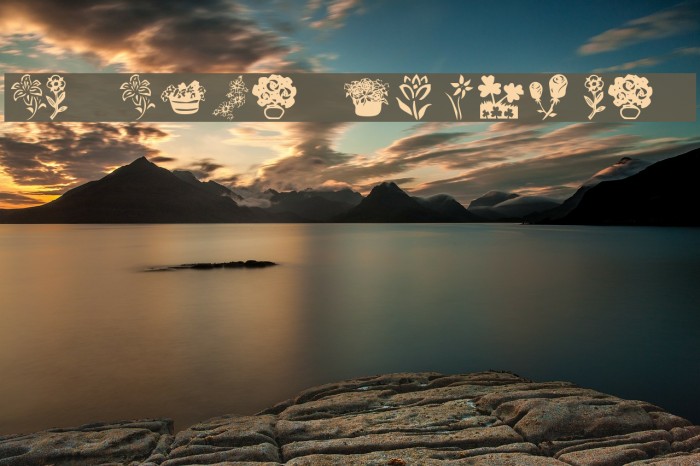 KR Kat's Flowers 4 Font examples