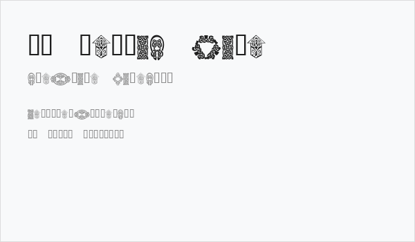 KR Keltic Five Business Card