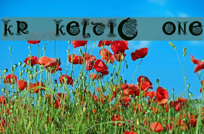 KR Keltic One Font examples