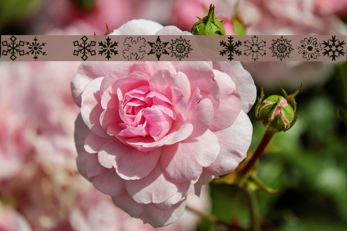 KR Kinda Flakey Example 1