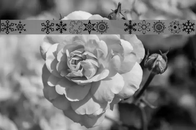 KR Kinda Flakey Font examples