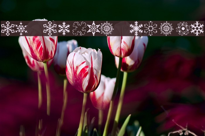 KR Kinda Flakey Example 2