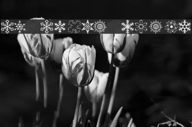 KR Kinda Flakey Font examples