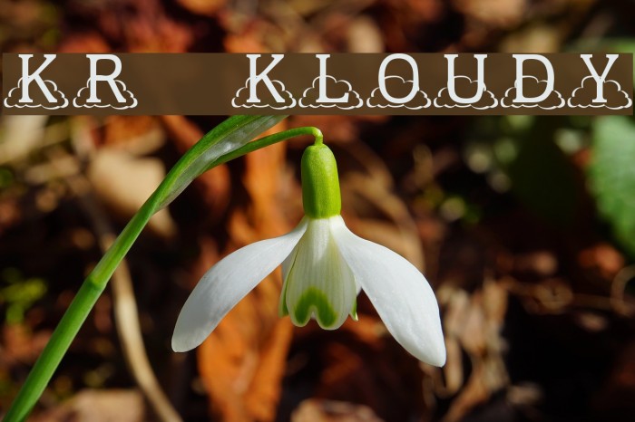 KR Kloudy Font examples