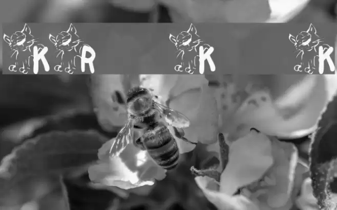 KR Krazy Kat Font examples