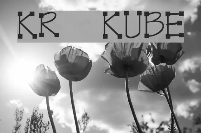 KR Kube Шрифта examples