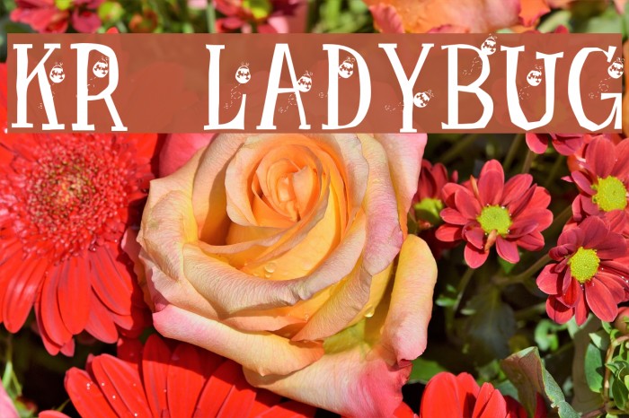 KR Ladybug Font examples
