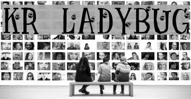 KR Ladybug Schriftart examples