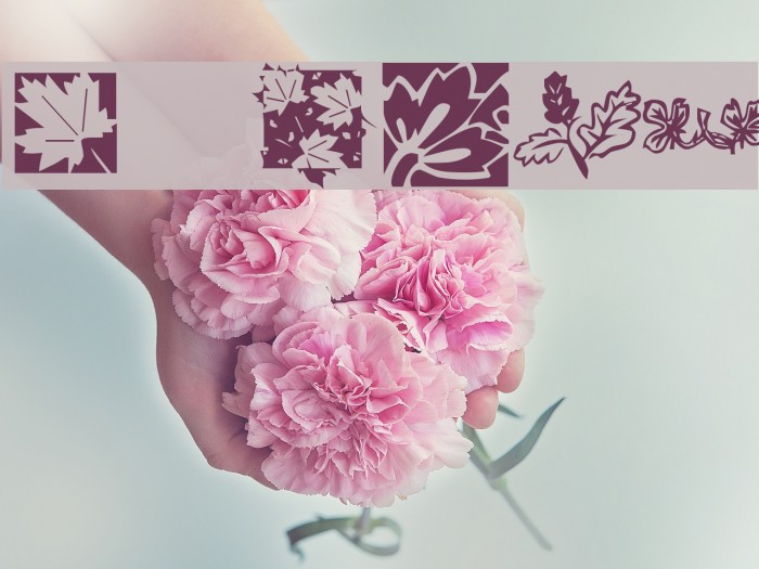 KR Leafy Font examples