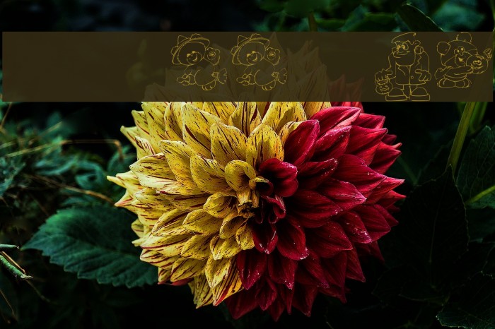 KR Lil Ween Dings Example 1