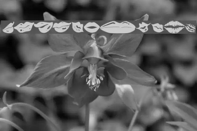 KR Lippy Font examples