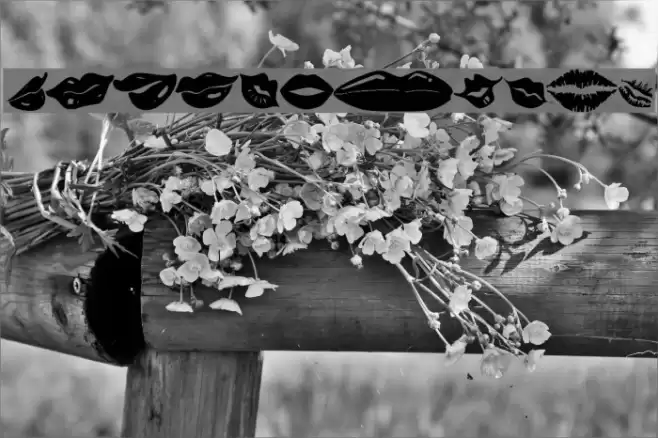 KR Lippy Font examples